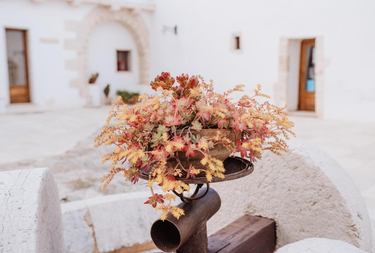 Masseria Casamassima Agriturismo Ostuni Exteriér fotografie