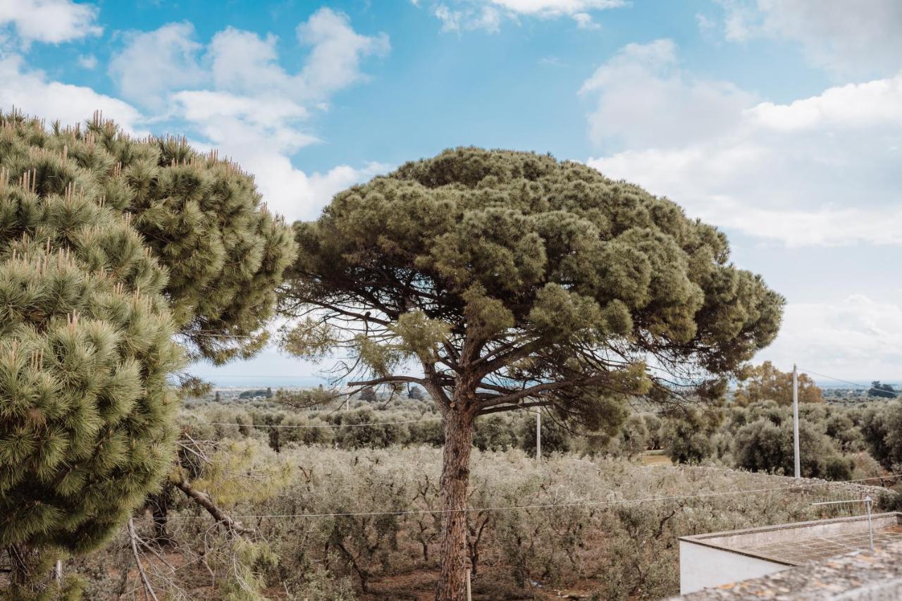 Masseria Casamassima Agriturismo Ostuni Exteriér fotografie