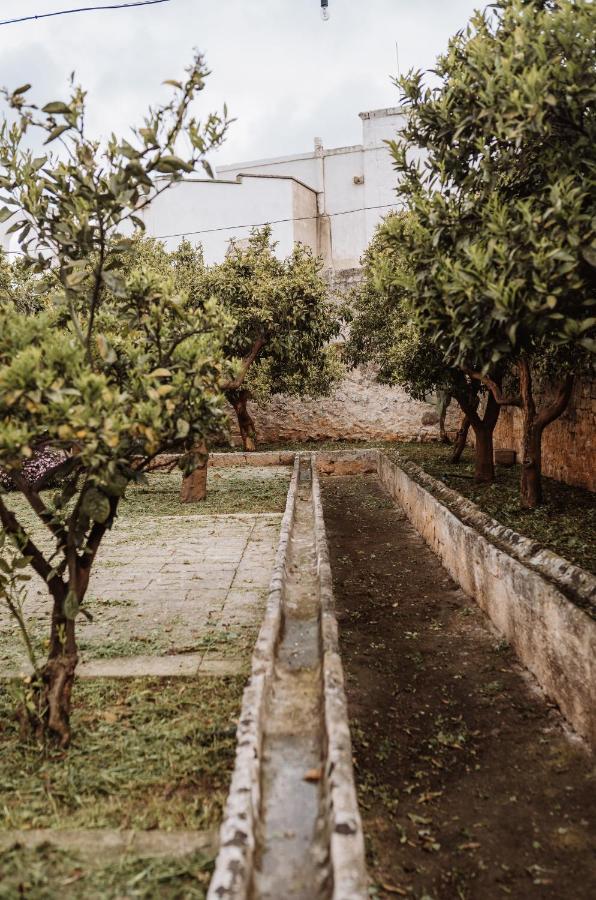 Masseria Casamassima Agriturismo Ostuni Exteriér fotografie