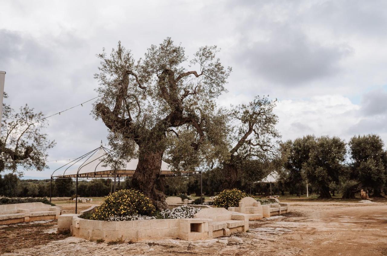 Masseria Casamassima Agriturismo Ostuni Exteriér fotografie