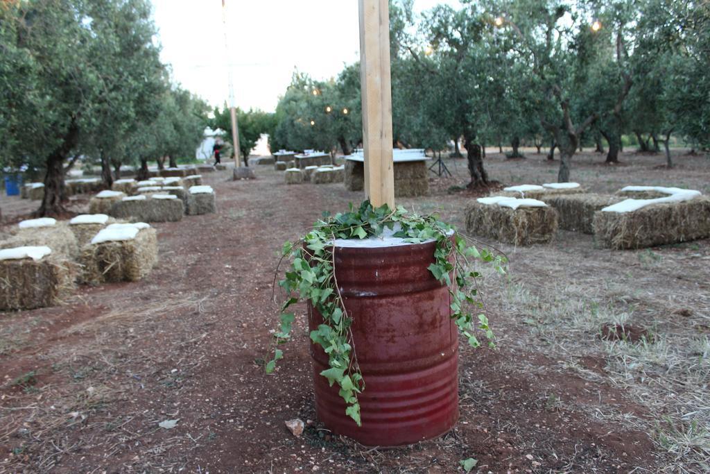 Masseria Casamassima Agriturismo Ostuni Exteriér fotografie