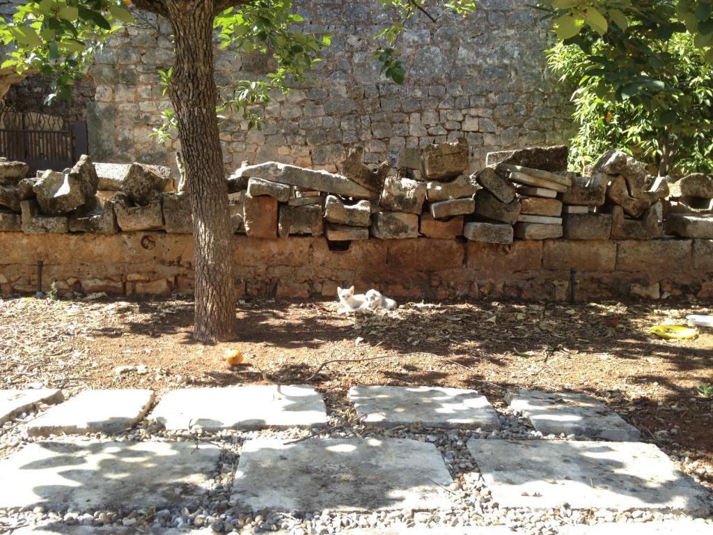 Vila Masseria Casamassima Agriturismo Ostuni Exteriér fotografie